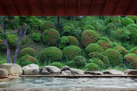 平塚 スーパー銭湯：温泉と都市生活の融合