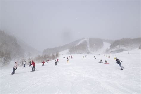 新宿から郡山 バス：都市と田舎の交差点